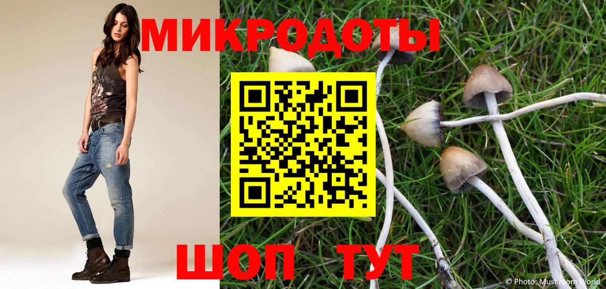 Гулькевичи  Псилоцибиновые грибы Psilocybe  Вход с VPN 