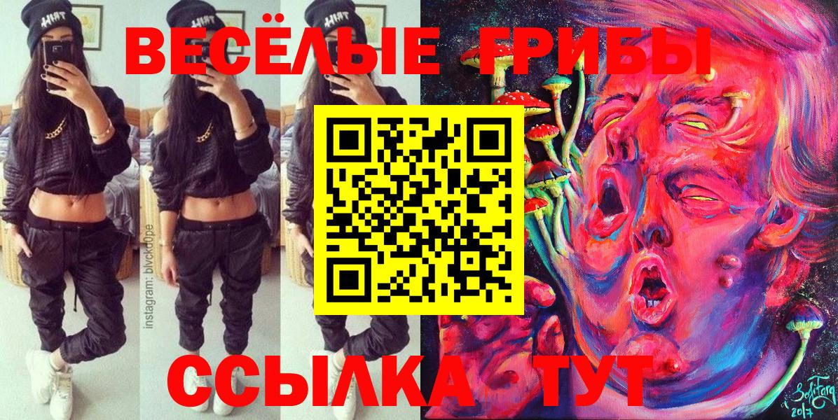 Галлюциногенные грибы GOLDEN TEACHER Гулькевичи